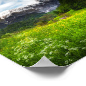 Veerbloemenveld in bergen Krn Poster (Hoek)