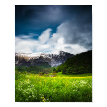 Veerbloemenveld in bergen Krn