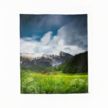 Veerbloemenveld in bergen Krn