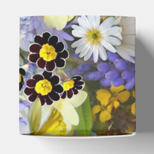 Veerbloemknol Bedankdoosjes (Bovenkant)