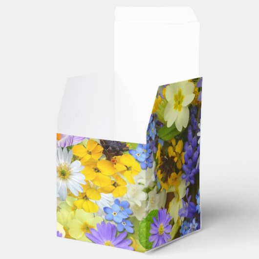 Veerbloemknol Bedankdoosjes (Geopend)