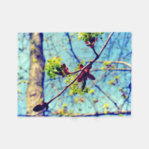 Veerbloesems esdoornboom gestileerd fleece deken