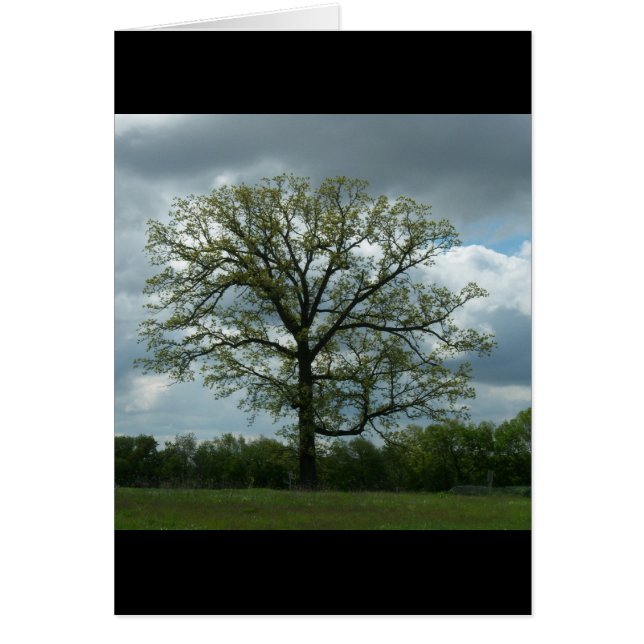 Veerboomkaart (Voorkant)