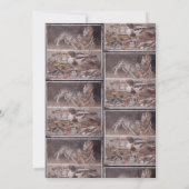 VEERBOOTGEBOUW KAART (Achterkant)