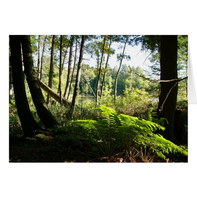 veerboten bij het farr - meer (Voorkant Horizontaal)