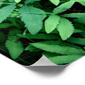 veerboten: Canvas— Poster (Hoek)