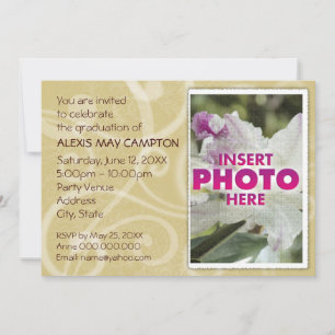 veerdragers.bge kaart