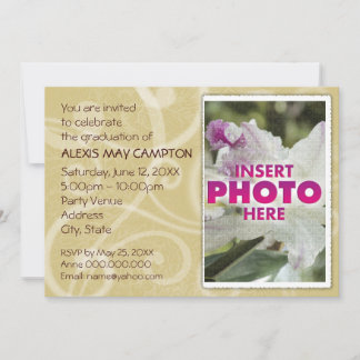 veerdragers.bge kaart