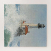 veerkracht aan zee legpuzzel (Horizontaal)