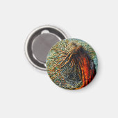 Veerkracht in cirkelmagneet magneet (Voorkant / Achterkant)