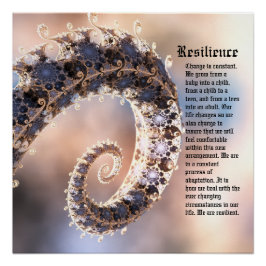 veerkracht perfect poster