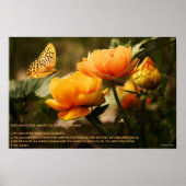 veerkracht poster (Voorkant)