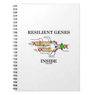 Veerkrachtige genen binnen (DNA-replicatie) Notitieboek