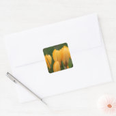 Veerkruiwagens met afdichtingsstickers vierkante sticker (Envelop)