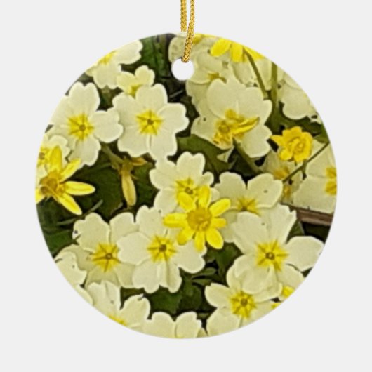 Veerprimroses Ornament (Voorkant)