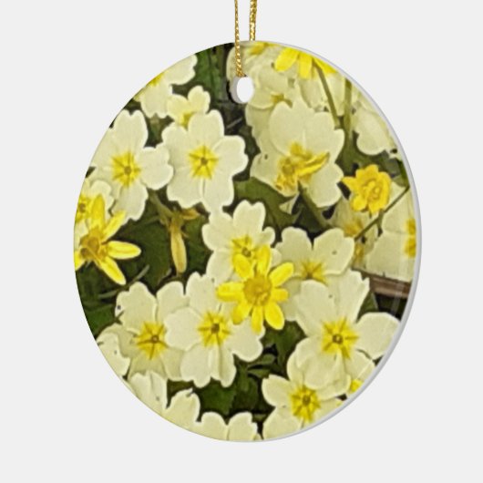 Veerprimroses Ornament (Links)