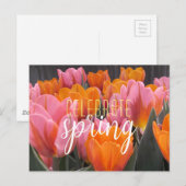 Veerroze en Oranje Tulps-Briefkaart Briefkaart (Voorkant / Achterkant)