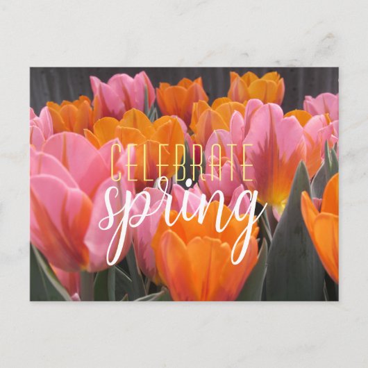 Veerroze en Oranje Tulps-Briefkaart Briefkaart (Voorkant)