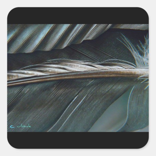 veersticker vierkante sticker (Voorkant)