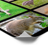 Veertien mozaïekfoto's van Australische dieren Poster (Hoek)