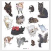 Veertien Schattigee Hond en Kat Foto Sticker (Vel)