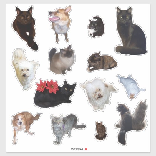 Veertien Schattigee Hond en Kat Foto Sticker (Vel)
