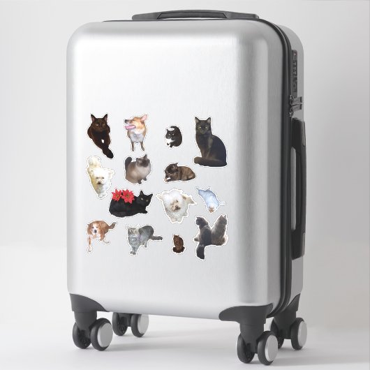 Veertien Schattigee Hond en Kat Foto Sticker (Koffer)