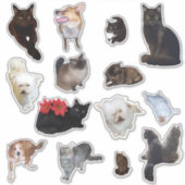 Veertien Schattigee Hond en Kat Foto Sticker (Voorkant)