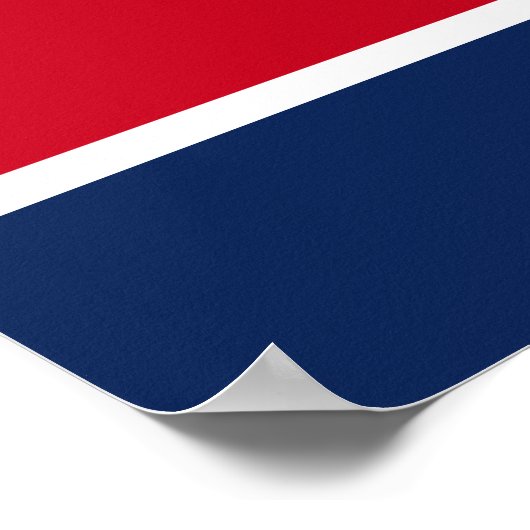 Veertiende wijziging Afdeling 3 Grondwet Poster (Hoek)