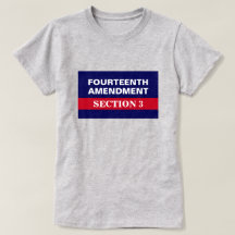 Veertiende wijziging Afdeling 3 Grondwet