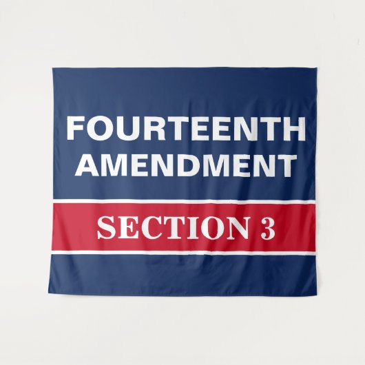 Veertiende wijziging Afdeling 3 Grondwet Wandkleed (Voorkant (horizontaal))