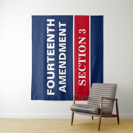 Veertiende wijziging Afdeling 3 Grondwet Wandkleed (In situ)