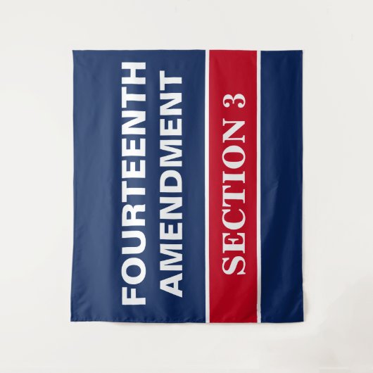 Veertiende wijziging Afdeling 3 Grondwet Wandkleed (Voorkant)