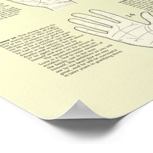 Veertig lesjes in de palmindustrie, Poster voor he (Hoek)