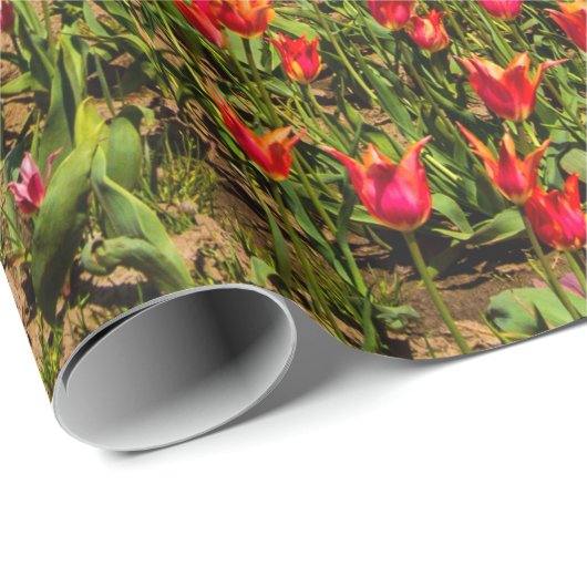 Veertulpdradenpapier Cadeaupapier (Rol Hoek)