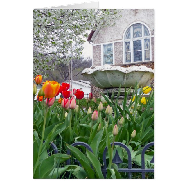 Veertulpen (Voorkant)