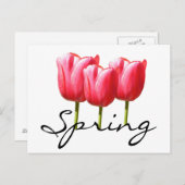 Veertulpen Briefkaart (Voorkant / Achterkant)