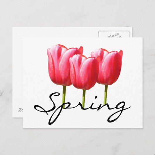 Veertulpen Briefkaart (Voorkant / Achterkant)