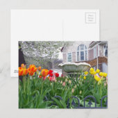 Veertulpen Briefkaart (Voorkant / Achterkant)