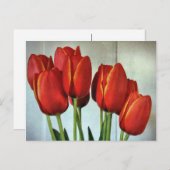 Veertulpen Briefkaart (Voorkant / Achterkant)