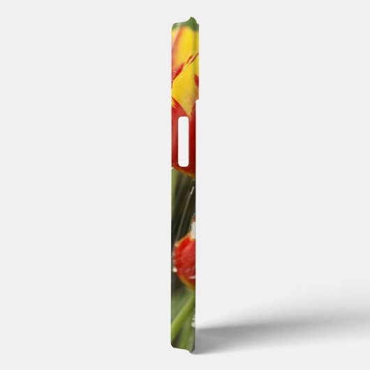 Veertulpen Case-Mate iPhone Case (Achterkant / Rechts)