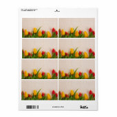 Veertulpen Etiket (Full Sheet)
