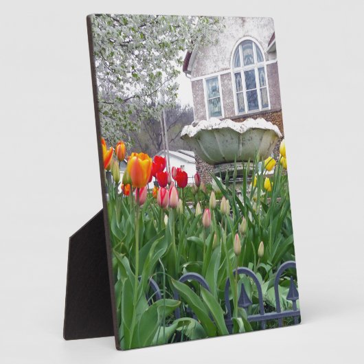 Veertulpen Fotoplaat (Zijkant)
