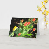 Veertulpen Kaart (Gele Bloem)
