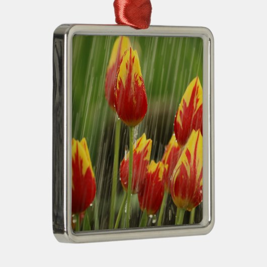 Veertulpen Metalen Ornament (Rechts)