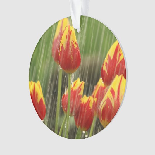 Veertulpen Ornament (voorkant)