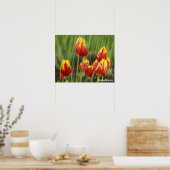 Veertulpen Poster (Keuken)