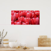 Veertulpen Poster (Keuken)