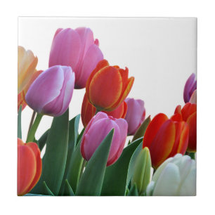 Veertulpen Tegeltje
