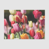 Veertulpen Tissuepapier (Voorkant)